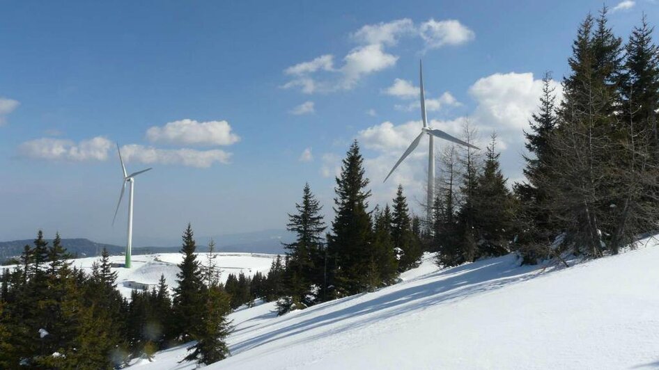 Winterwanderung_Richtung Speik vom Salzstieglhaus | © Salzstieglhaus