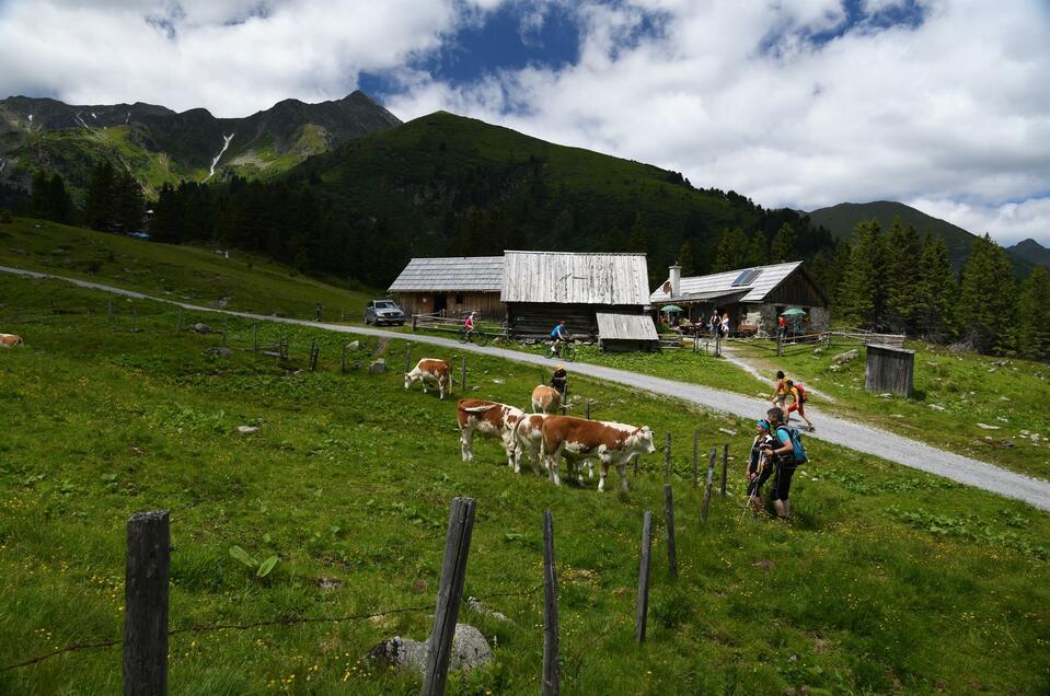 Scheibelalm - Family Rössl - Impression #1 | © Erlebnisregion Murtal