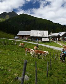 Scheiblalm-Hohentauern-Murtal-Steiermark | © Erlebnisregion Murtal | © Erlebnisregion Murtal