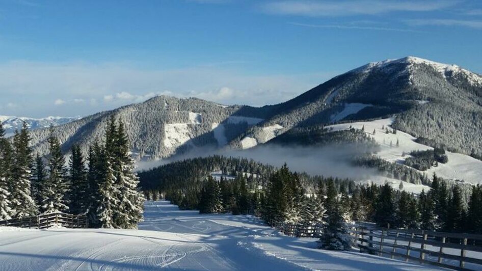 Skifahren im Schi- und Rodelgebiet Salzstiegl | © Gasthof Moasterhaus