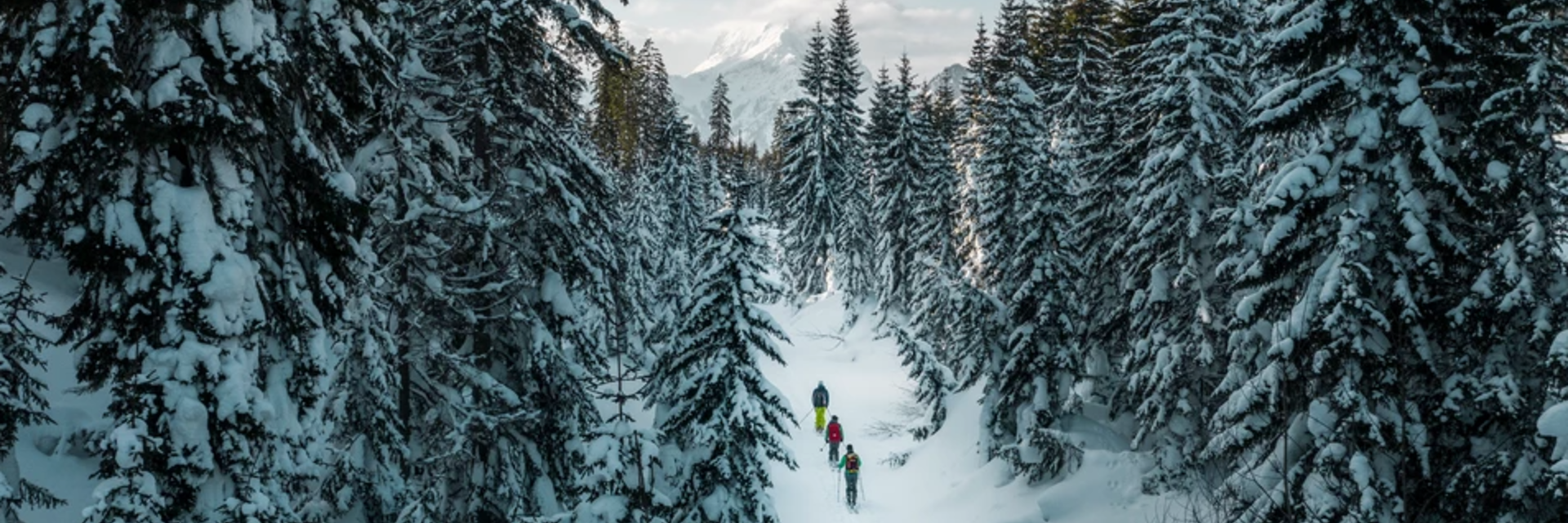 Skitour durchs Gesäuse und Styria-Beef vom Biohof - Impression #1 | © TV Gesäuse/Stefan Leitner