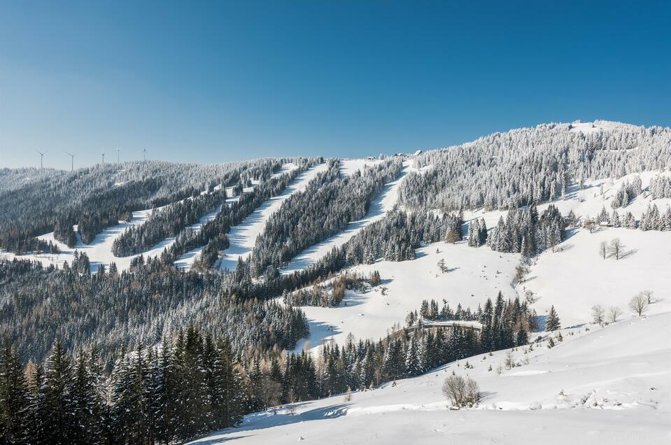 Stubalm Schilifte am Gaberl - Impression #1 | © TV Lipizzanerheimat | Die Abbilderei