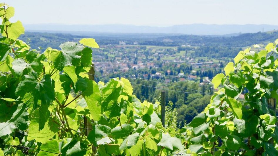 Weingut Mally | © Weingut Fam. Mally