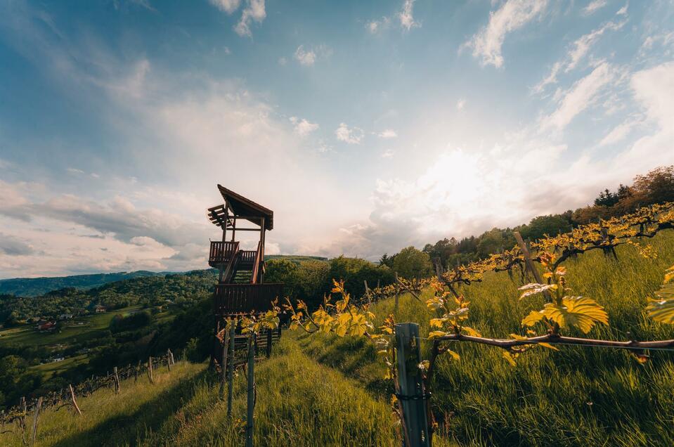 Weinbergwarte Bad Gams - Impression #1 | © Schilcherland Steiermark