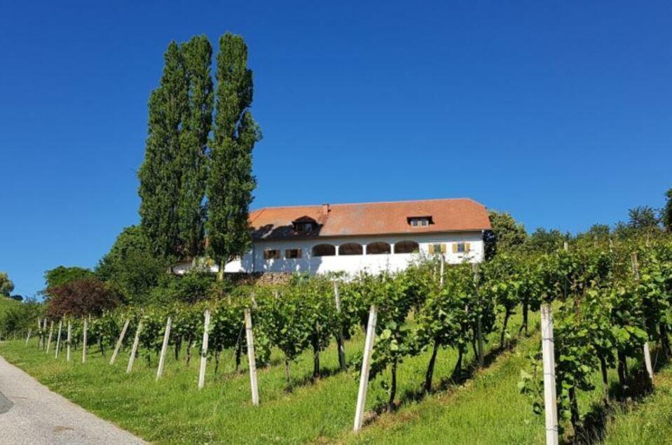 Weingut und Raritätenbrennerei Lindenburg - Impression #1 | © Weingut Lindenburg | Gertraud Stelzl