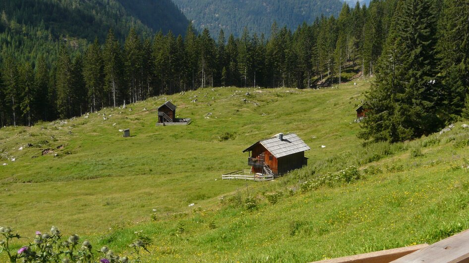 Weißenbachalm, Bad Aussee, Hütten | © TVB Ausseerland - Salzkammergut/H. Rastl