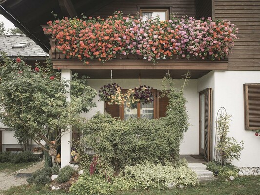 Gästehaus Plum in Hall/Zirnitz