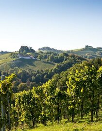 Blick auf das Weingut | © Weingut Hack-Gebell | © Weingut Hack-Gebell