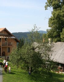 Zufahrt zum Bauernhof Priegl, im Schilcherland | © Bio Bauernhof Priegl | © Bio Bauernhof Priegl