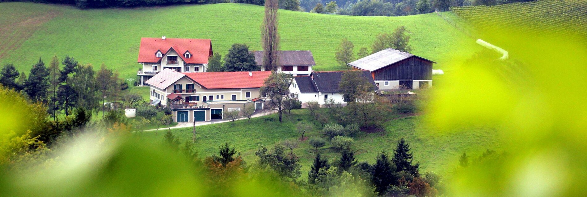 Weinbauernhof Adam Ewald Hofansicht