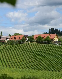 Weingut Fellner | © Weingut Fellner l Roswitha & Andreas Fellner | © Weingut Fellner l Roswitha & Andreas Fellner