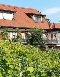 Weingut Skringer vlg. Ranz Haus | © Weinbau Skringer-Ranz | © Weinbau Skringer-Ranz