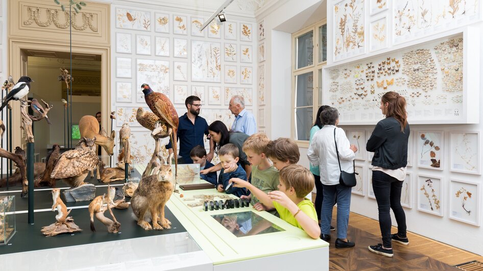 Naturkundemusem im Grazer Joanneumsviertel