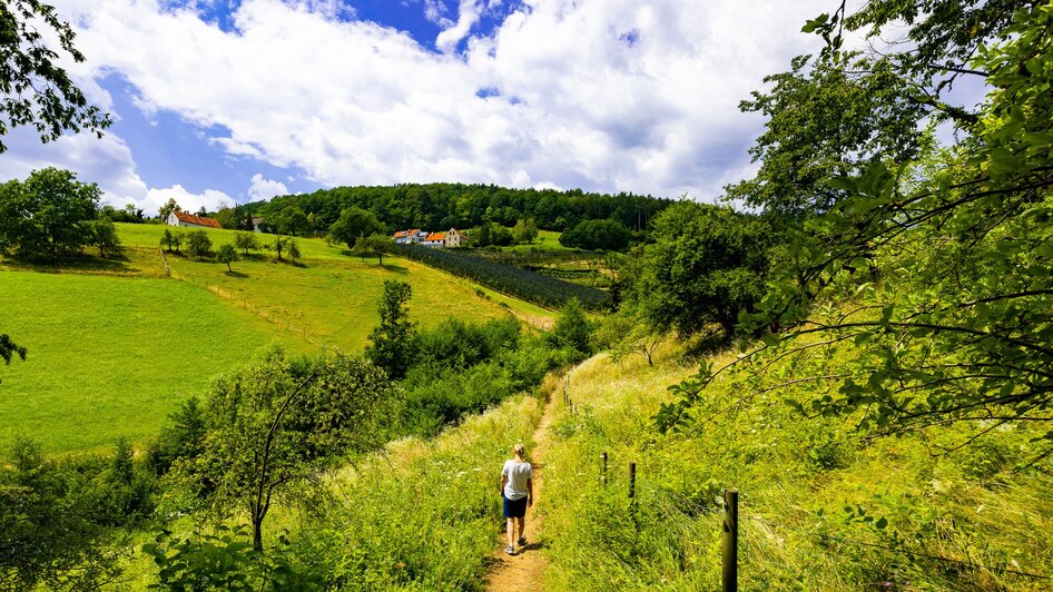 Wanderung für alle Sinne - Rettenbachklamm | © Graz Tourismus - Harry Schiffer