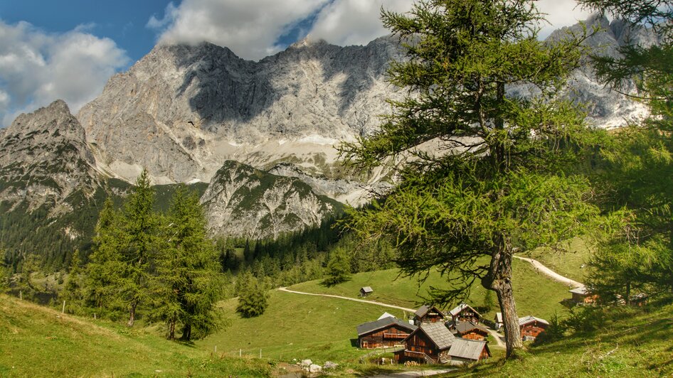 Almabtrieb in Ramsau am Dachstein