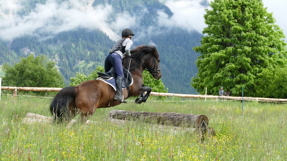 Huzulengestüt in Ramsau am Dachstein - Impression #2.9 | © Huzulengestüt - Irene Zimmermann