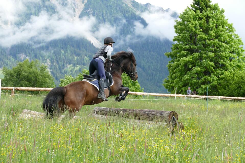 Huzulengestüt in Ramsau am Dachstein - Impression #1 | © Huzulengestüt - Irene Zimmermann