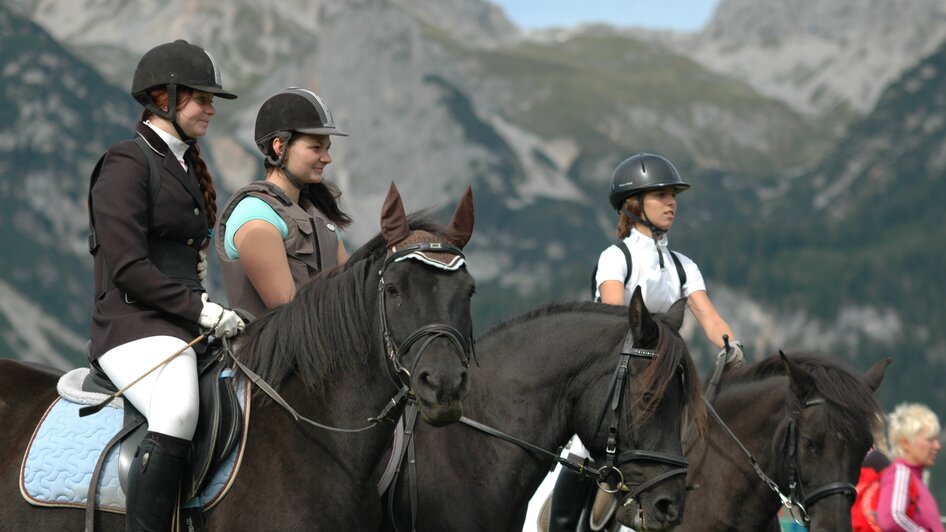 Huzulengestüt in Ramsau am Dachstein - Impression #2.4 | © Huzulengestüt - Irene Zimmermann