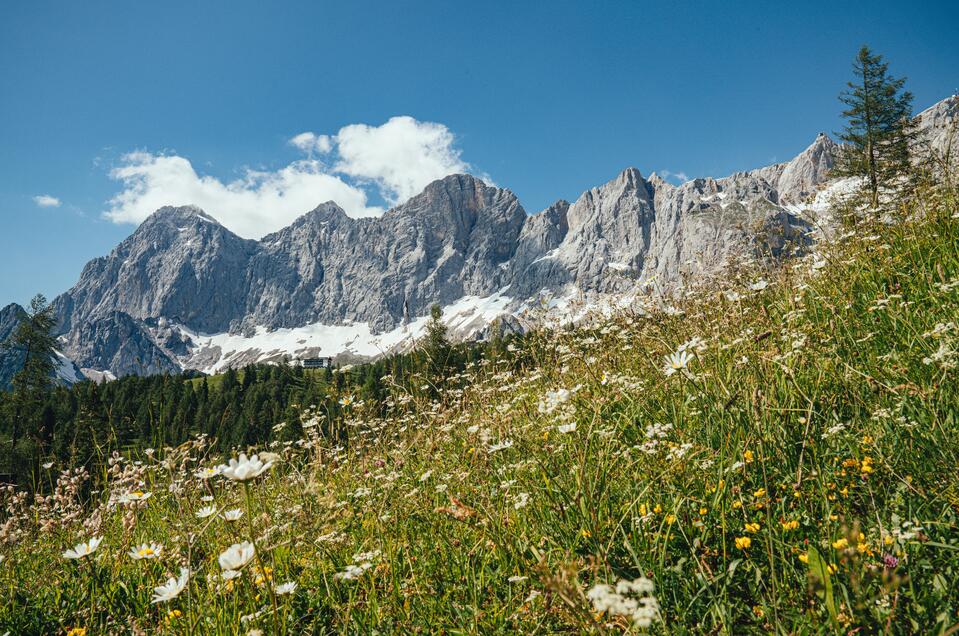 Infobüro Ramsau am Dachstein - Impression #1 | © Christine Höflehner