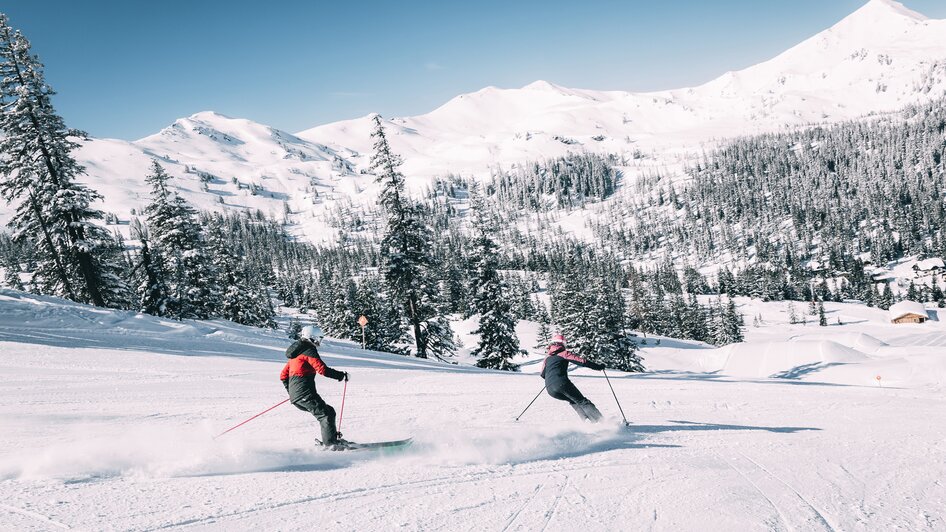 Planneralm - Impression #2.10 | © Armin Walcher