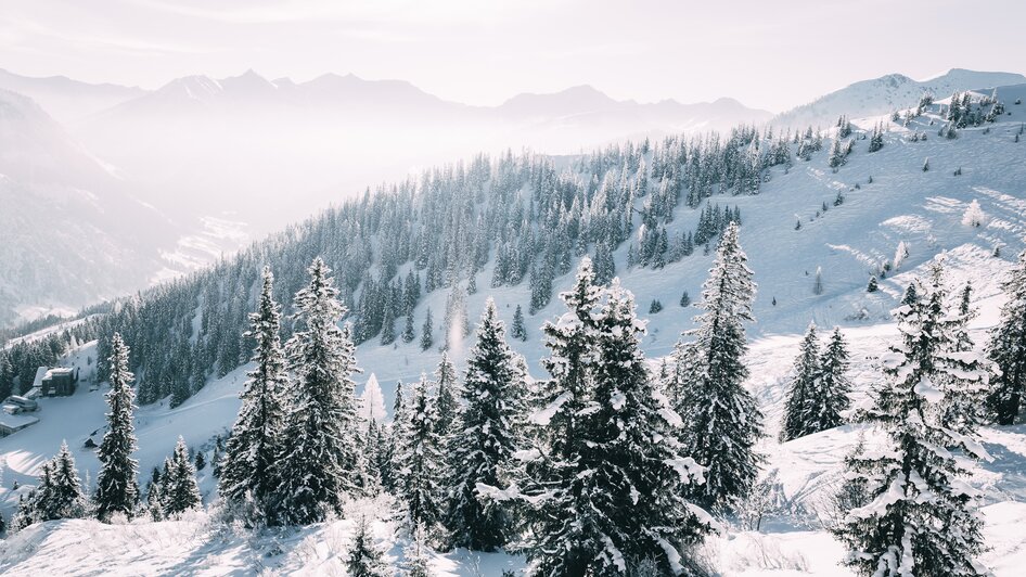 Riesneralm - Impression #2.2 | © Armin Walcher