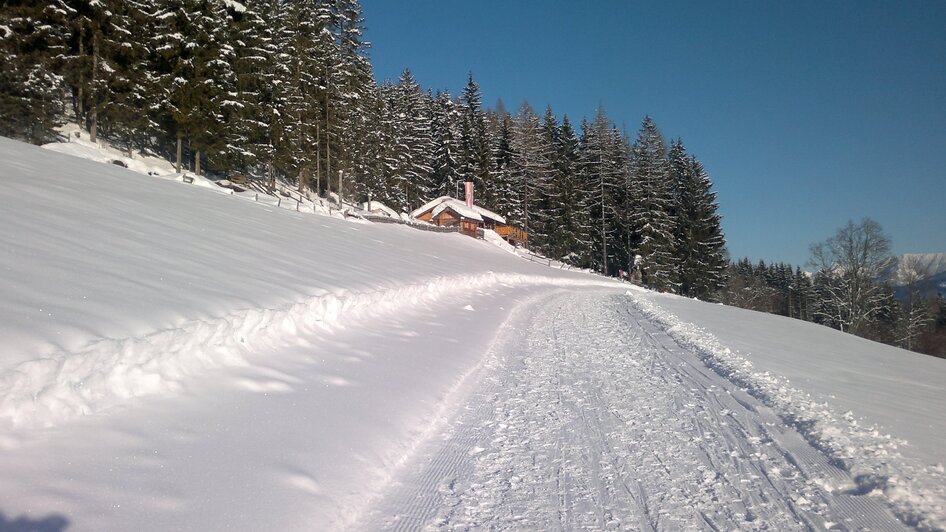 Sattelberghütte - Impression #2.1